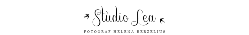 Studio Lea